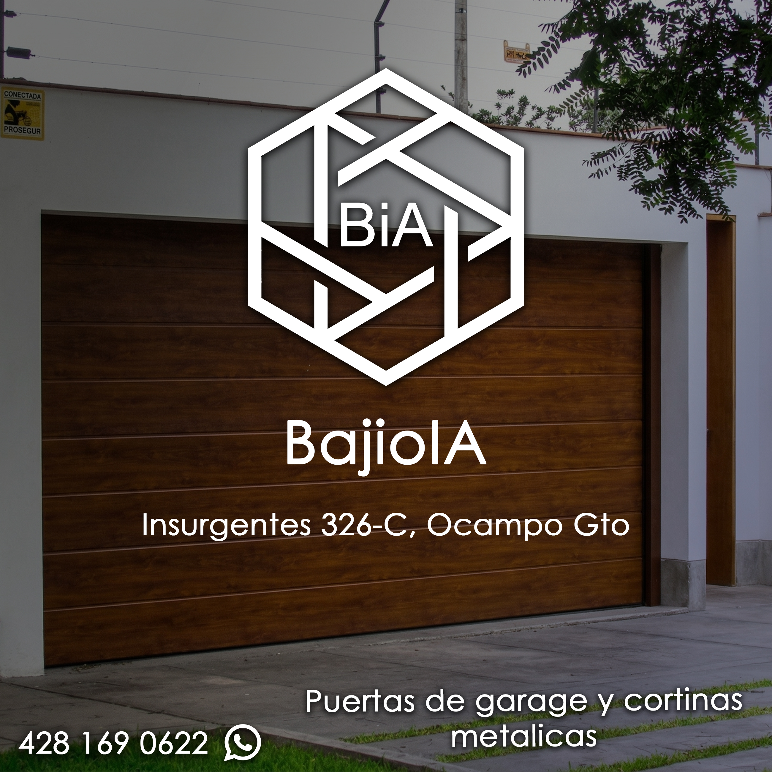 BajioIA — automatización de acceso residencial